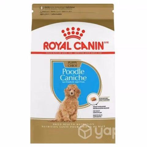 Comida perro. Royal Canin. 3kg