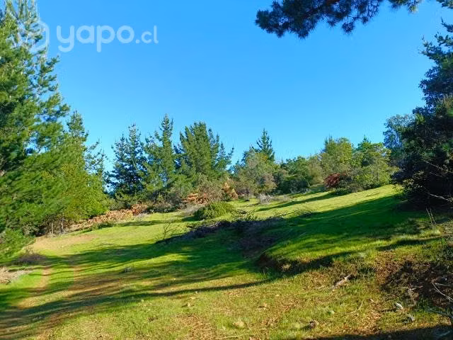 Terreno en curepto con bosque
