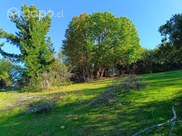 Terreno en curepto con bosque