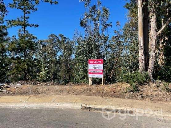 Terreno en Foresta de Curauma - Imagen 3