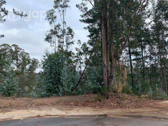 Terreno en Foresta de Curauma - Imagen 2