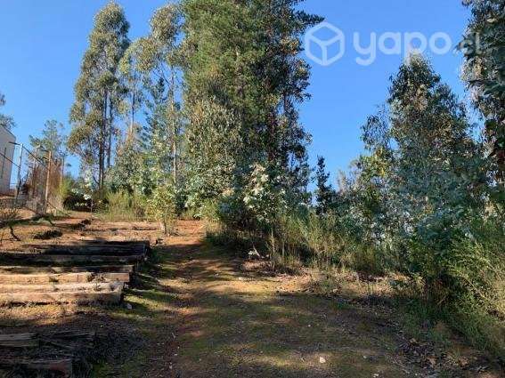 Terreno en Foresta de Curauma - Imagen 8