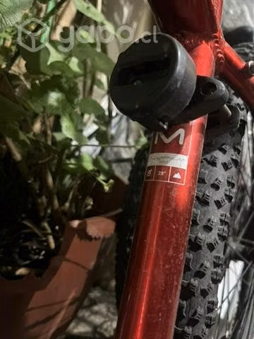 Bicicleta orion 5 Oxford - Imagen 5