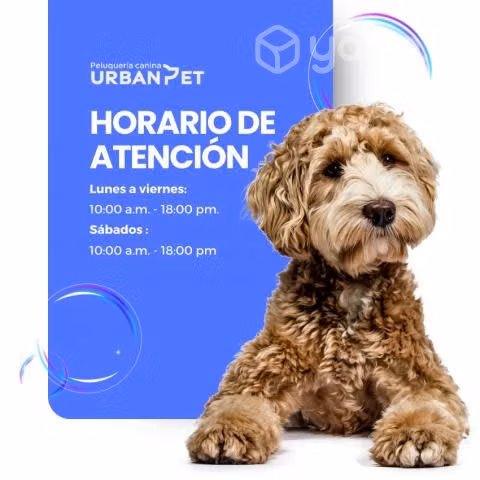 Peluqueria canina para perros en La Cruz