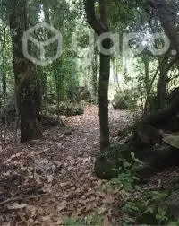 5000m2 en Los Lleuques