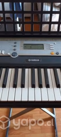 Organo Piano insteumento musical