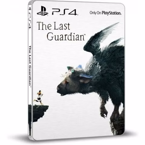 The last guardian