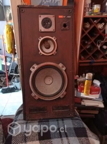 Parlante Sony grande ,tiene sonido