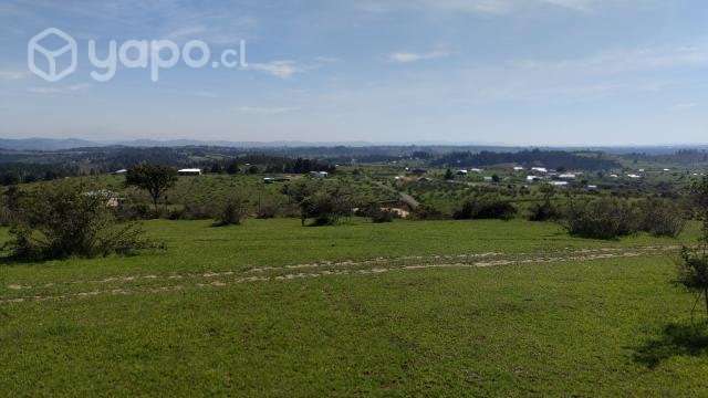 Terreno por apuro - Imagen 3