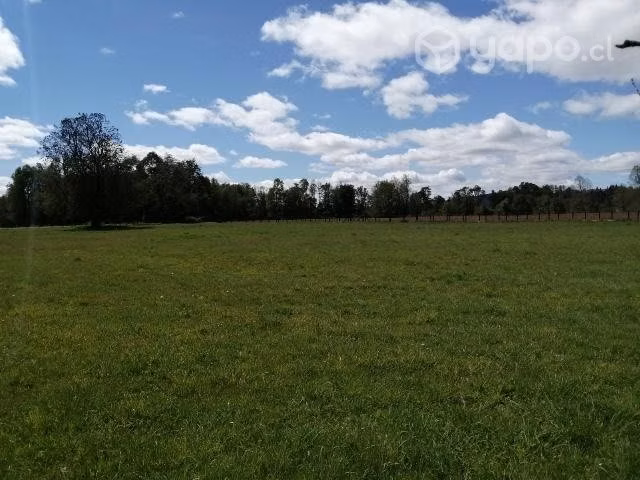 Parcela 5000 metros cuadrados...valor 28 millones