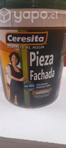 TINETA CERESITA PIEZA Y FACHADA COLOR A