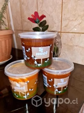 Miel de abeja 1 kilo