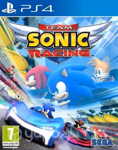 Team sonic racing