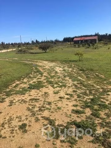 Parcela 5000m2 con casa y piscina - Imagen 5