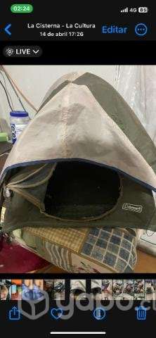 Carpa mascota - Imagen 2