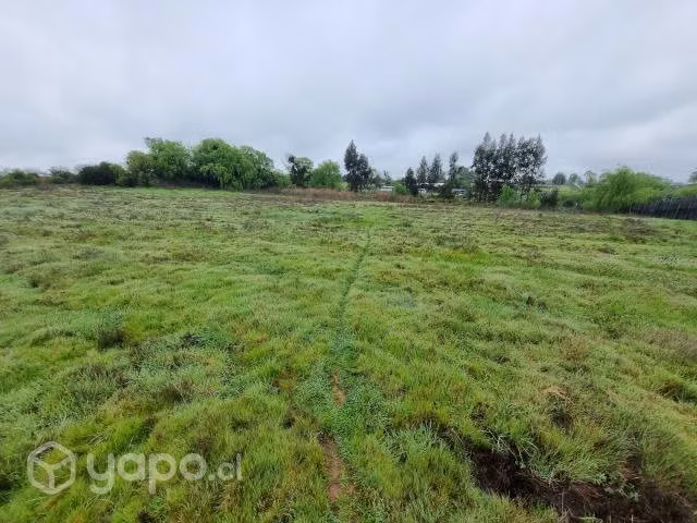 Parcela 10.000 mts.2 San Rafael, Talca