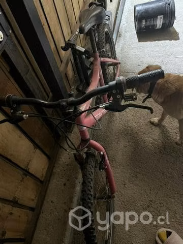 bicicleta
