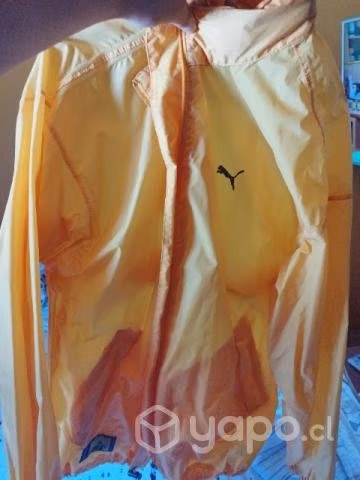 Chaqueta puma