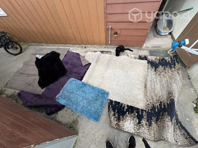 Lote de alfombras