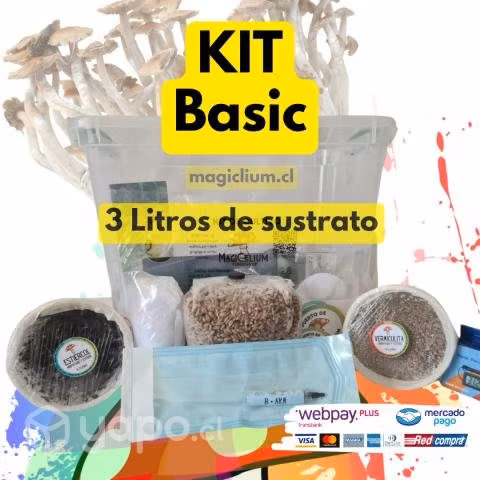 Kit Basic 3L de sustrato