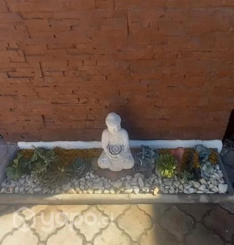 Servicios de paisajismo y jardin