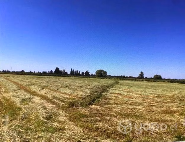 Venta de Terreno Rinconada de cato km 8 Chillán