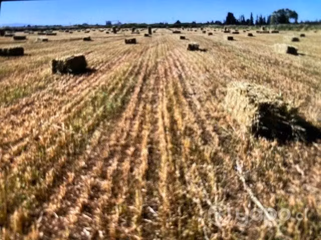 Venta de Terreno Rinconada de cato km 8 Chillán