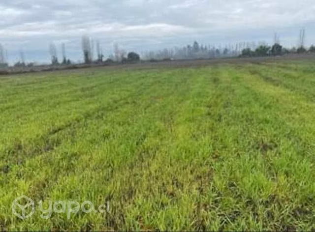 Venta de Terreno Rinconada de cato km 8 Chillán