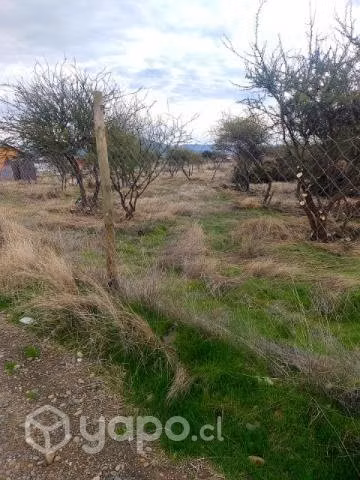 Se vende parcela en cauquenes - Imagen 4