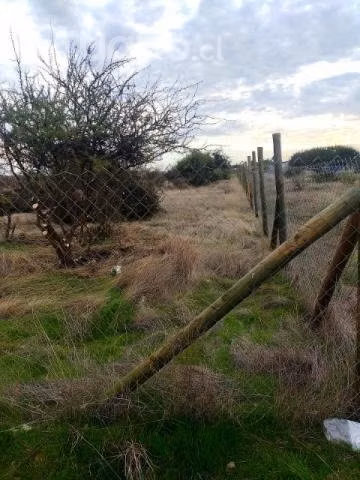 Se vende parcela en cauquenes - Imagen 3
