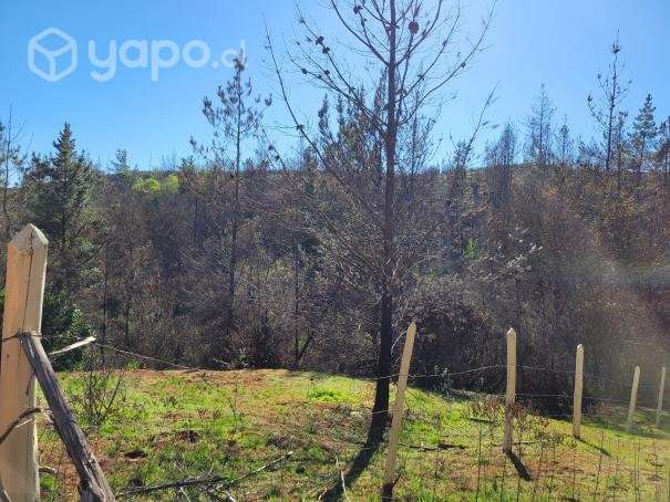 Campo en Nacimiento sector Millapoa