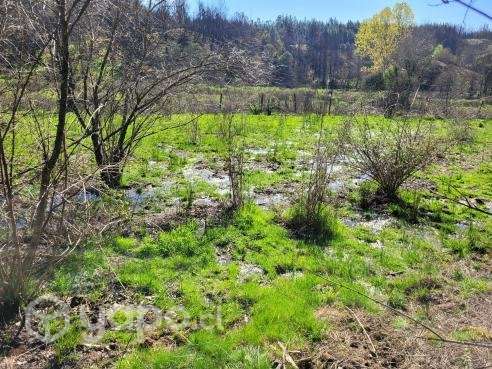 Campo en Nacimiento sector Millapoa