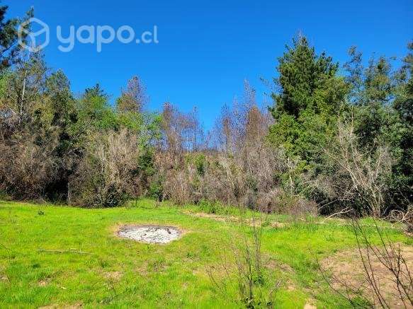Campo en Nacimiento sector Millapoa