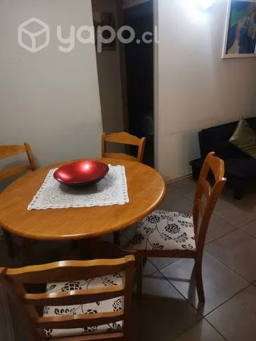 Arriendo departamento amoblado