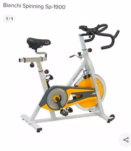 Biannchi sp-1900