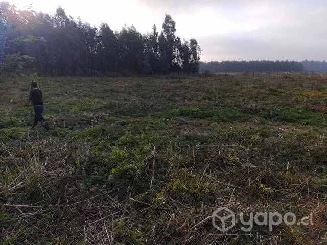Parcela con Estero Terreno Abránquil Yerbas Buenas