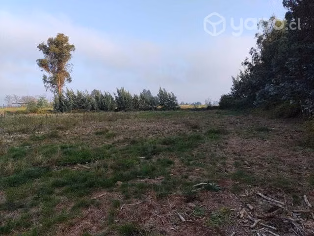 Parcela con Estero Terreno Abránquil Yerbas Buenas