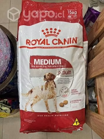 Royal Medium Adulto