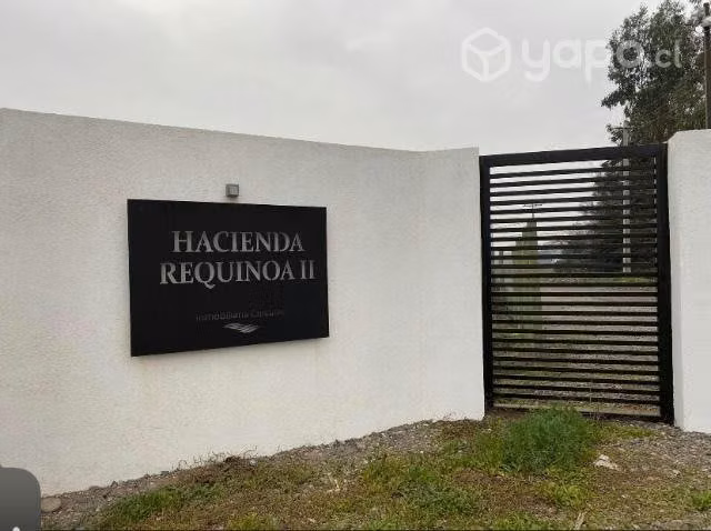 Hacienda requinoa 2