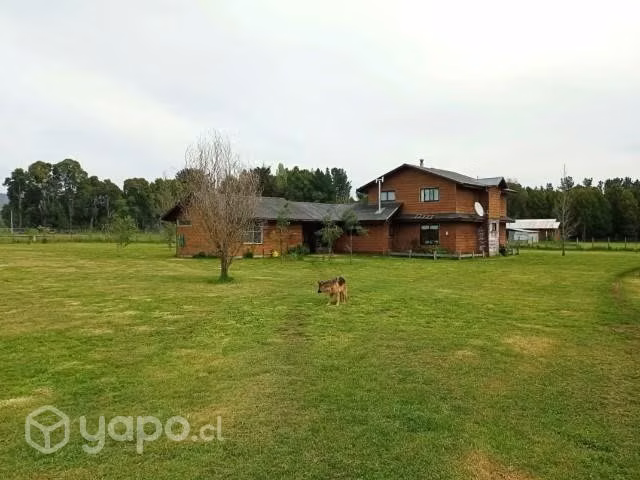 Se vende parcela de 5000m2 con casa de 200m2. - Imagen 12