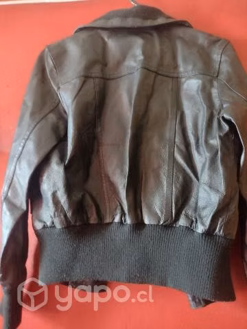 Chaqueta de Cuero Regatta