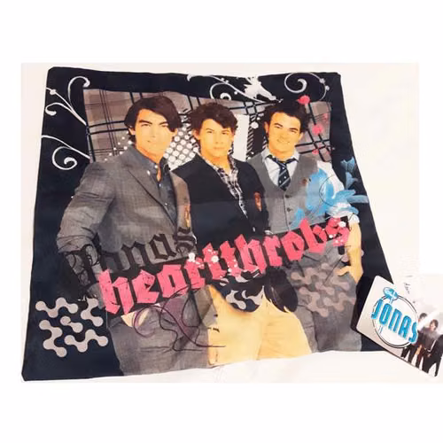 Cojin jonas brothers heart funda