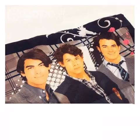 Cojin jonas brothers heart funda