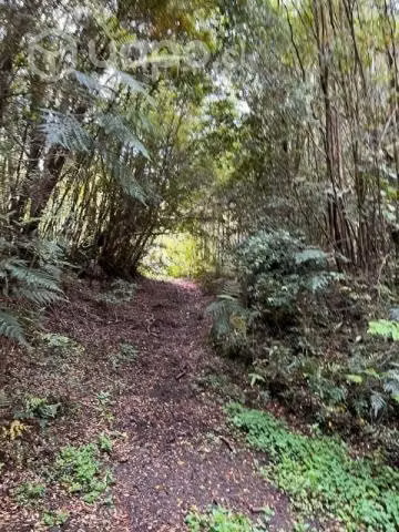 Parcela 5000mt2 en lago chapo