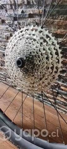 Piñon shimano