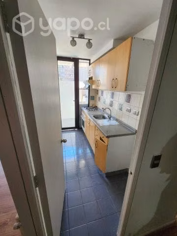 Huerfanos 1555