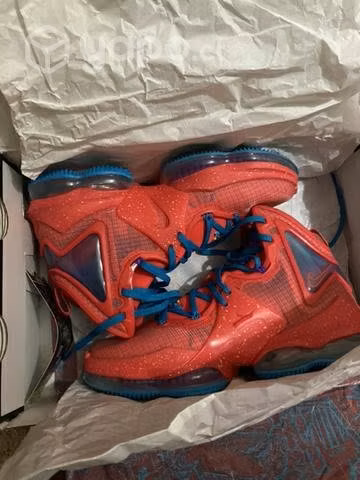 Nike lebron 19