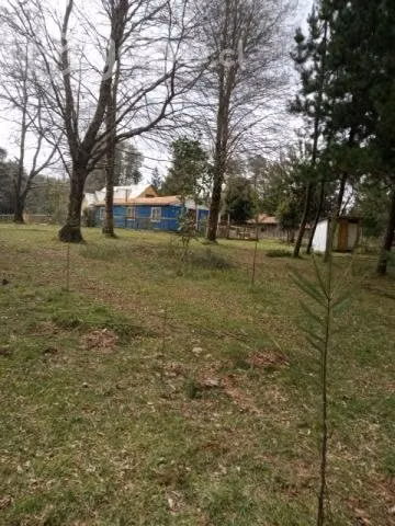 Terreno mas casa, bodega, gallinero cel