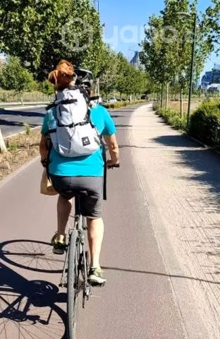 Mochila de Transporte para perros - Imagen 4