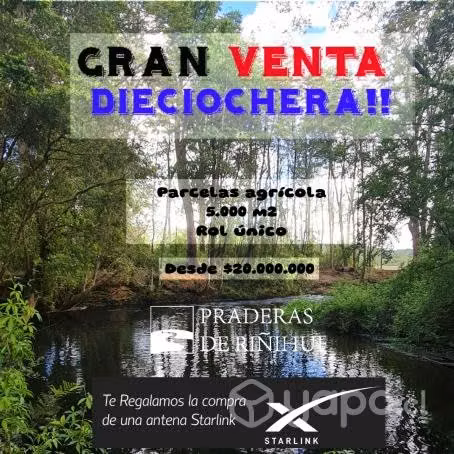 Parcela agrícola. Lago Riñihue